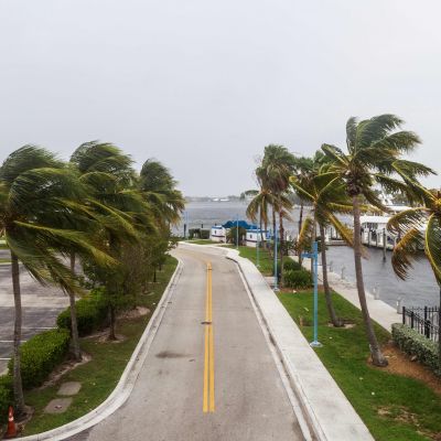 Beauty Brand Founders Leave Affected Florida Areas To Spare Businesses From Irma’s Wrath
