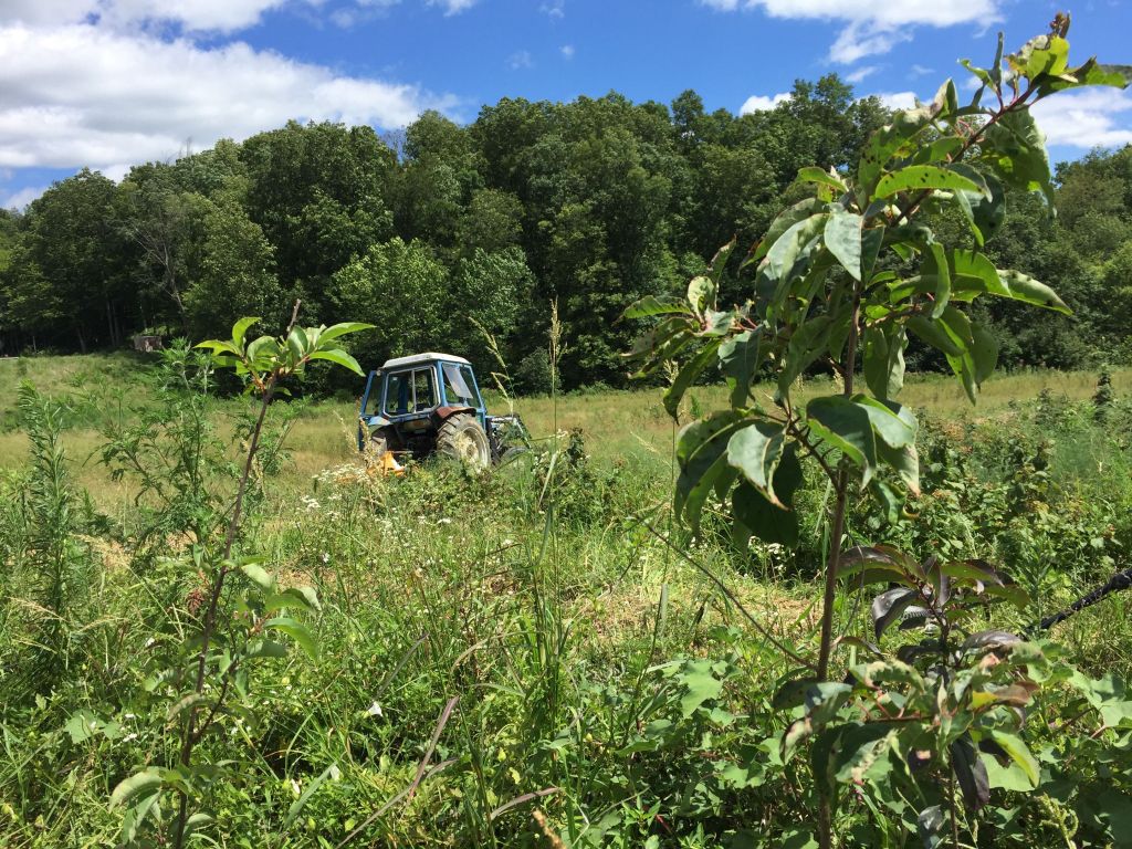 Megan Cox's 42-acre farm in Greene County, Ind.