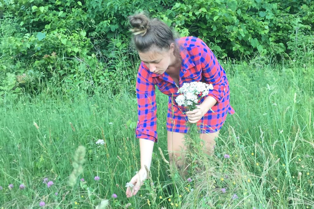 Megan Cox picking yarrow for Amalie's products.