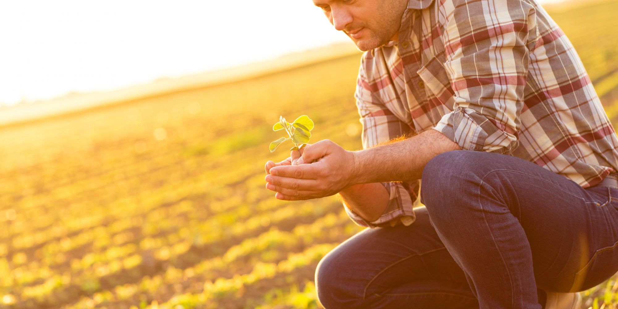 Will Ingredient Sourcing Transparency Be The New Label Reading?