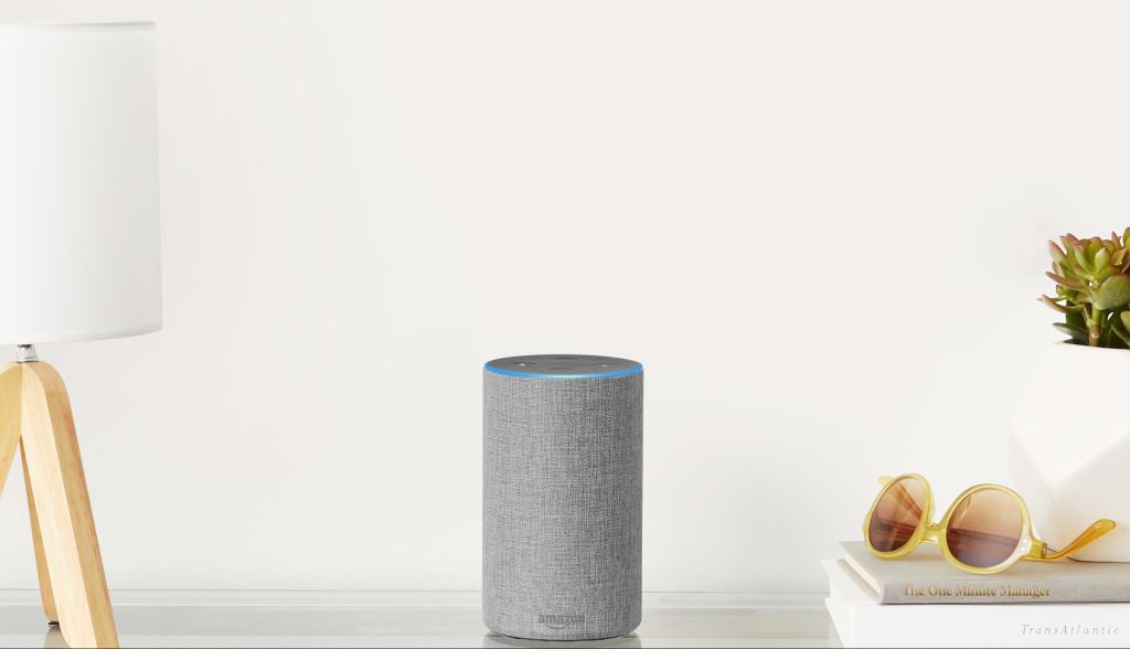 Amazon Alexa Google Home voice shopping