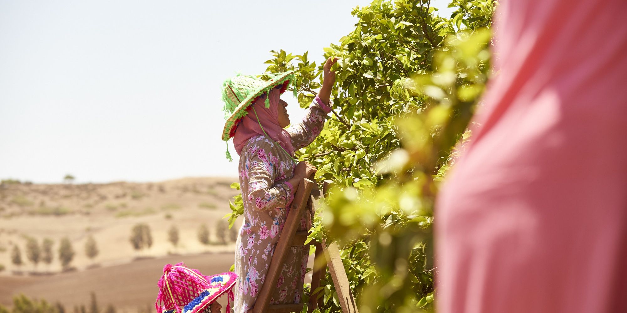 Sana Jardin Tests The Business Impact Of Being Driven By A Social Mission