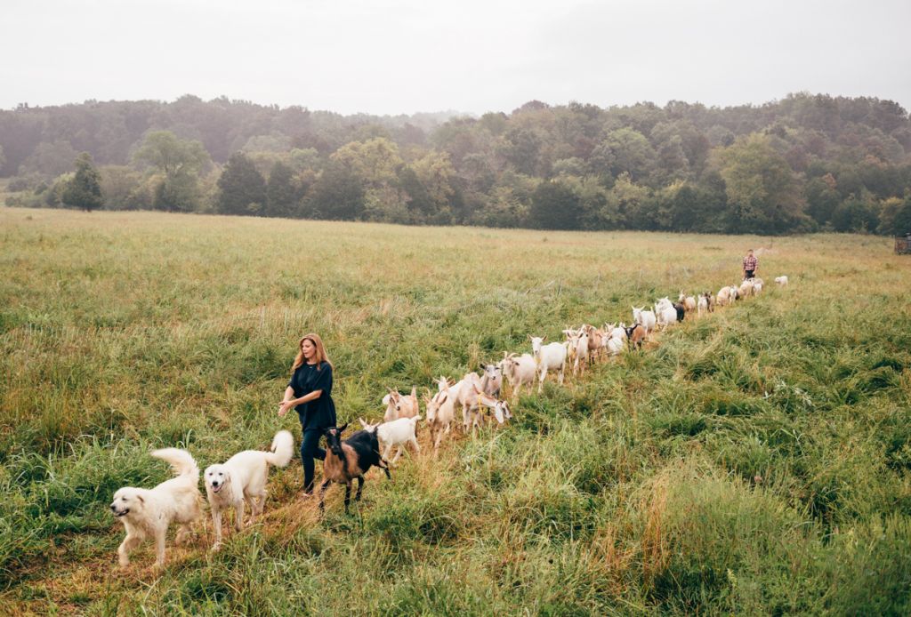 Little Seed Farm