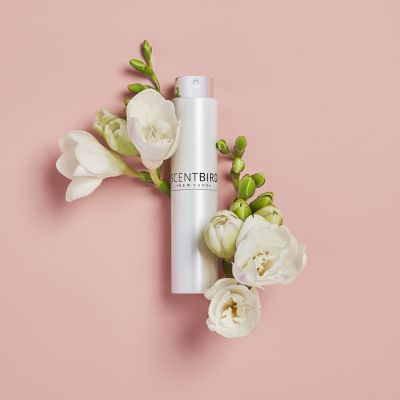 Scentbird Soars To Where Few Female-Led Companies Go: An $18.6M Round Of Funding