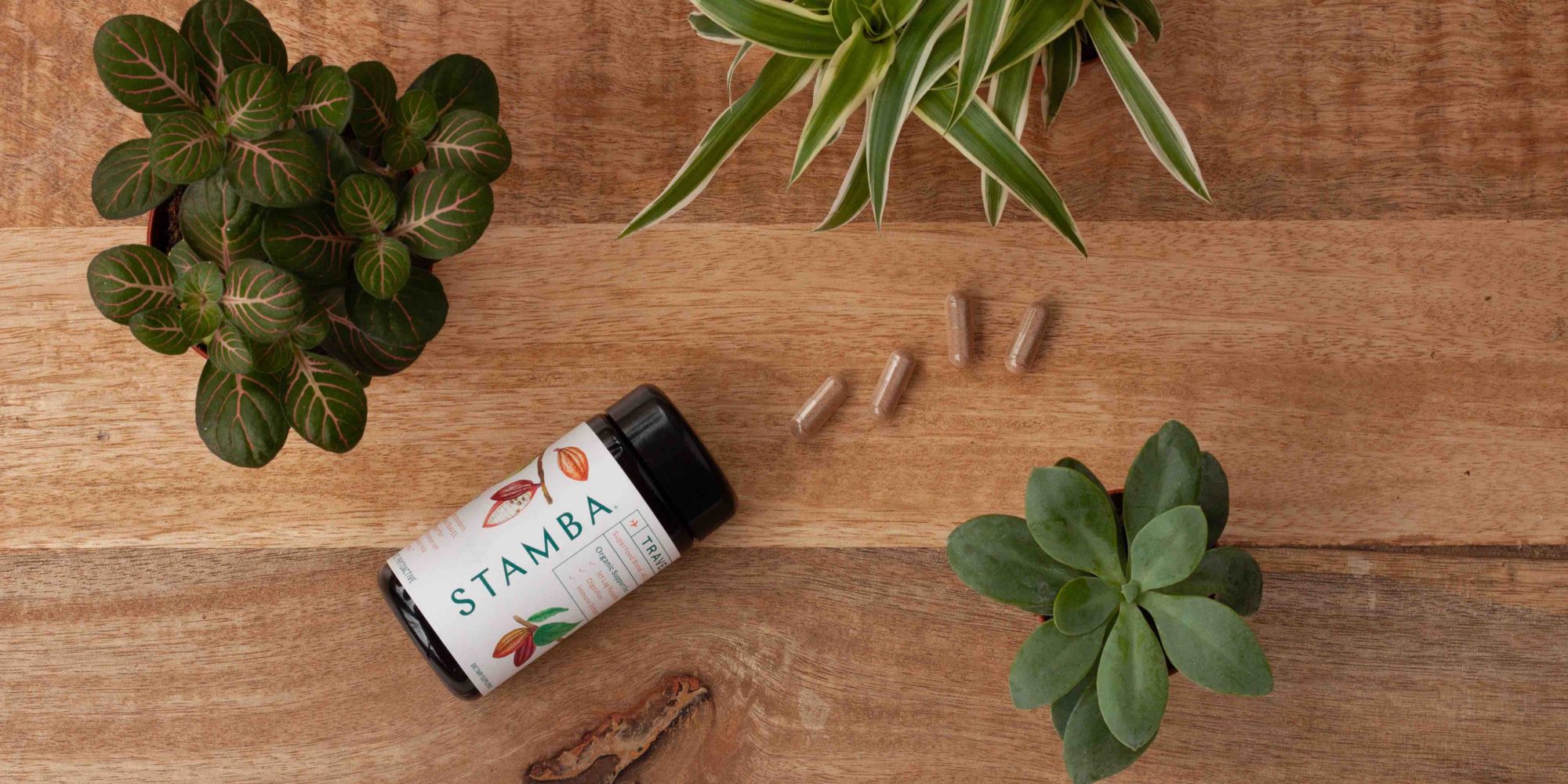 New Clean Beauty And Wellness VC Firm Sekhmet Ventures Launches With Investment In Ingestible Brand Stamba
