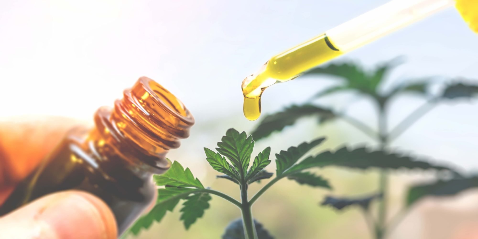 Dazed And Confused: False Marketing Promises Are An Enormous Obstacle To CBD Beauty Growth