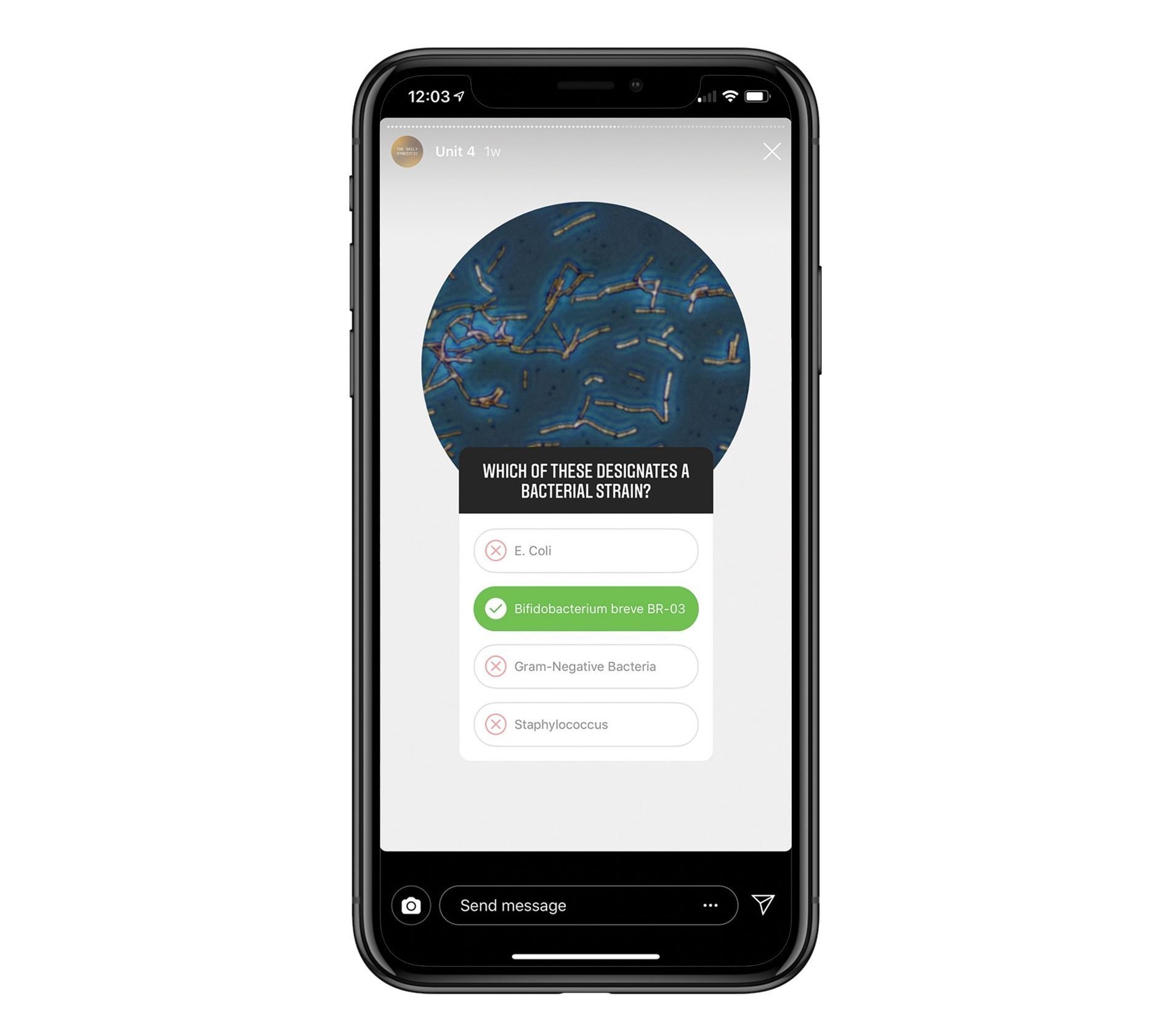 Seed University Instagram Influencer Marketing