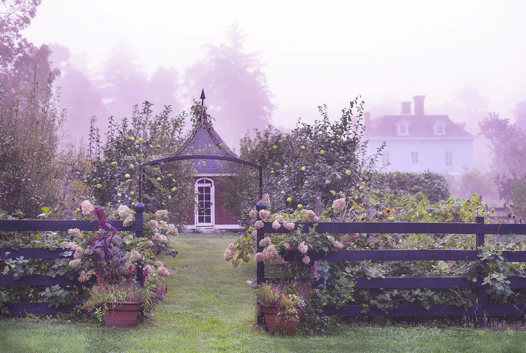 Cultivate Apothecary