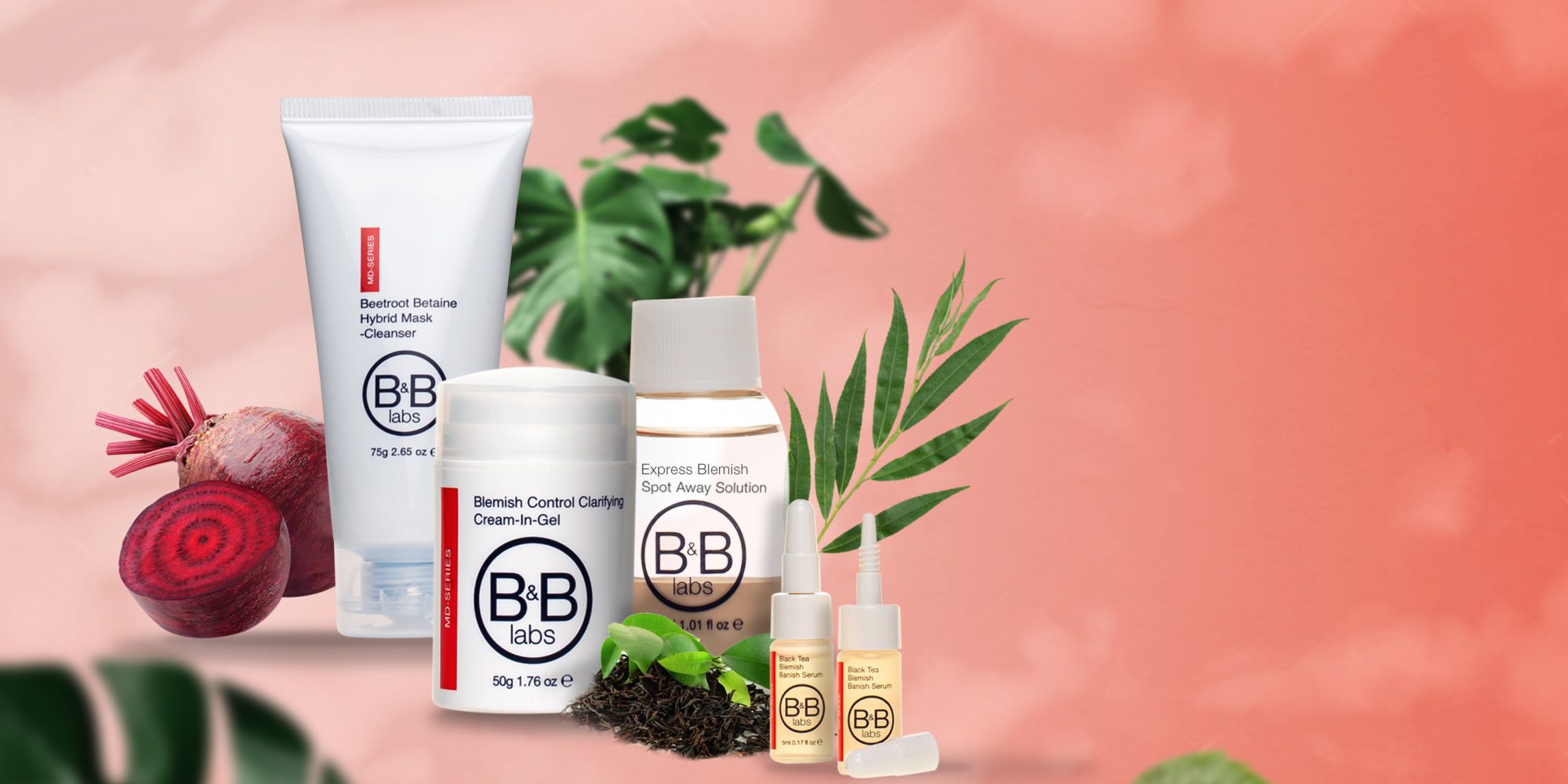 While Embracing Its Asian Roots, Malaysian Company B&B Labs Makes A Global Push