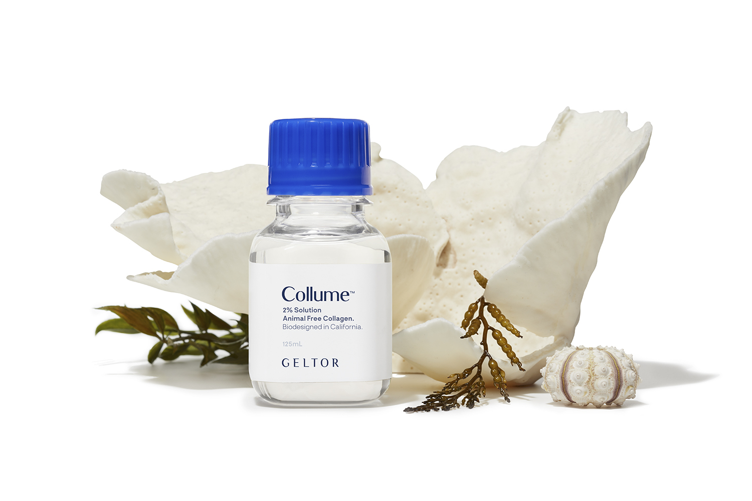 As The Beauty Industry Goes Vegan, Geltor Raises $91.3M To Supply It With Animal-Free Bioengineered Ingredients