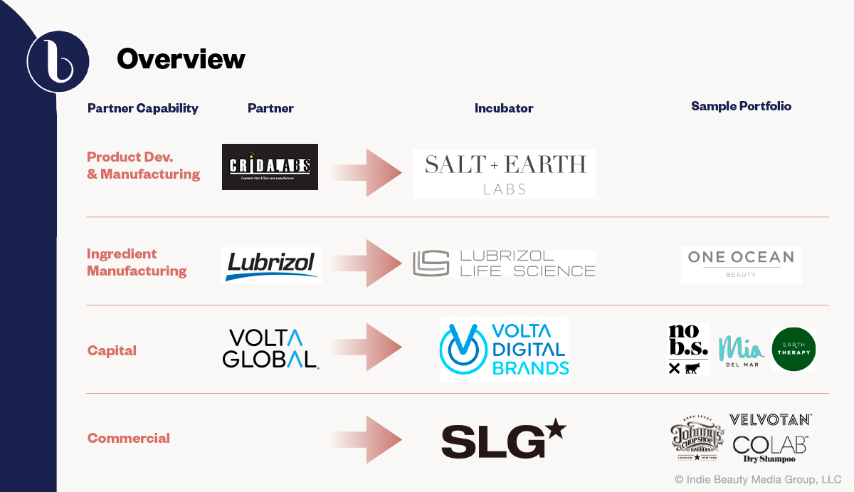 A look at the structures of Salt + Earth, SLG, Volta Digital Brands and Lubrizol. 