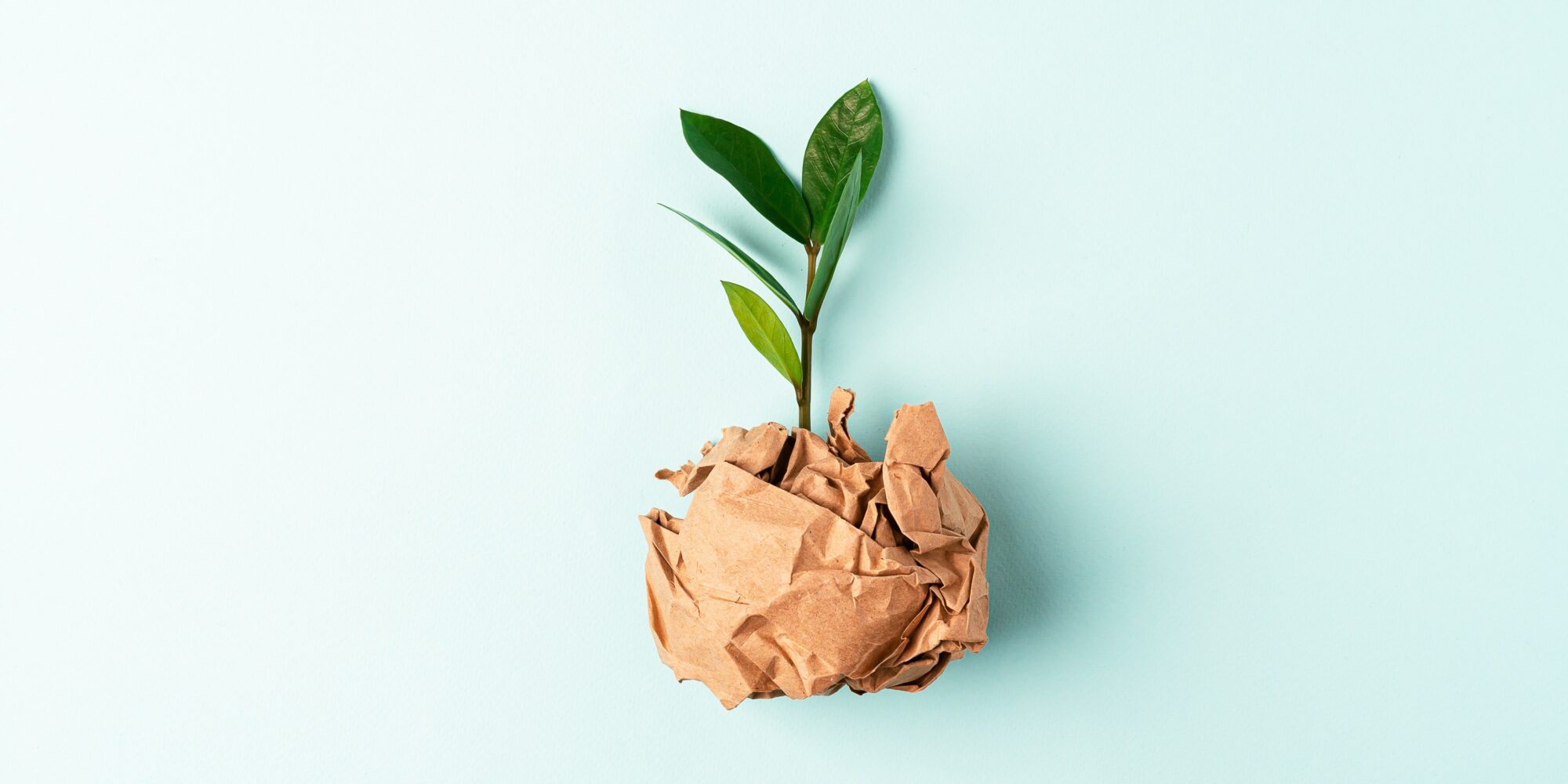 Steps Beauty Brands Are Taking To Become More Sustainable