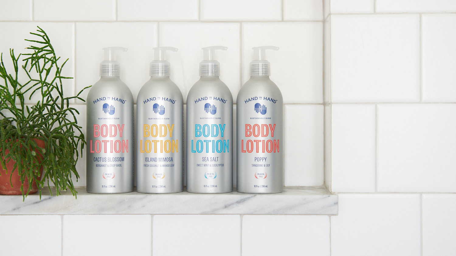 Hand In Hand Sells Majority Stake To Bain Capital Double Impact