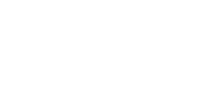 Mushroom Design
