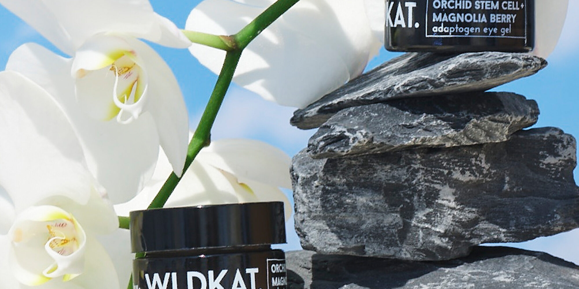 WLDKAT Launches At Ulta Beauty With Revamped Packaging, Lower Prices And CBD-Free Formulas