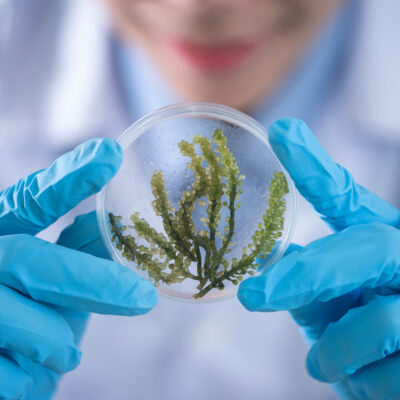 Factors To Consider When Developing Products For Skin Health