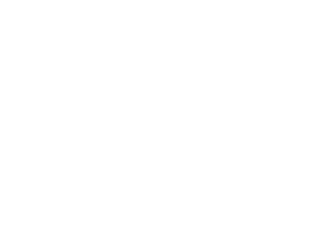 Intelligent I-N