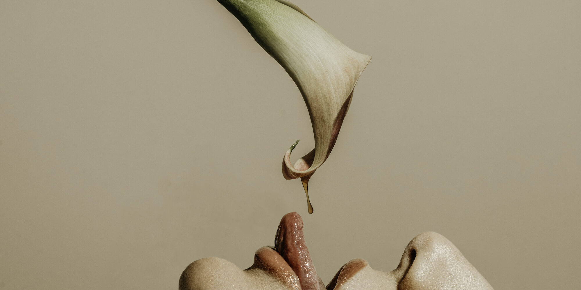 Exciting Spring Product Launches From Sexual Wellness Brands