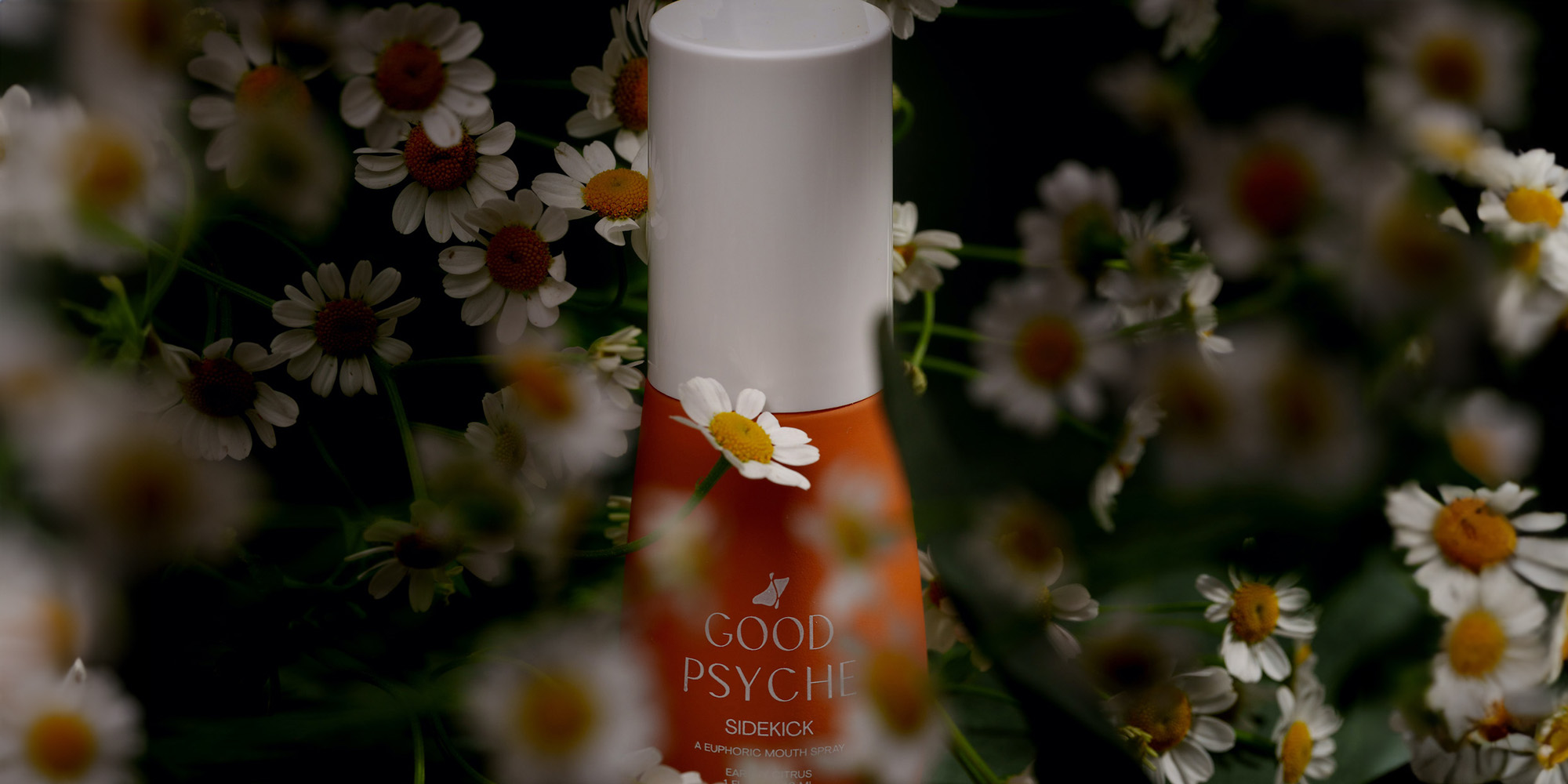 New Brand Good Psyche Is Out To Make Your Vices More Virtuous