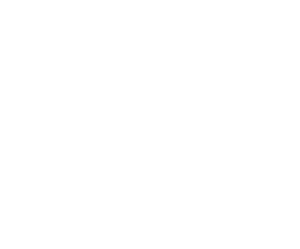 Stories & Ink