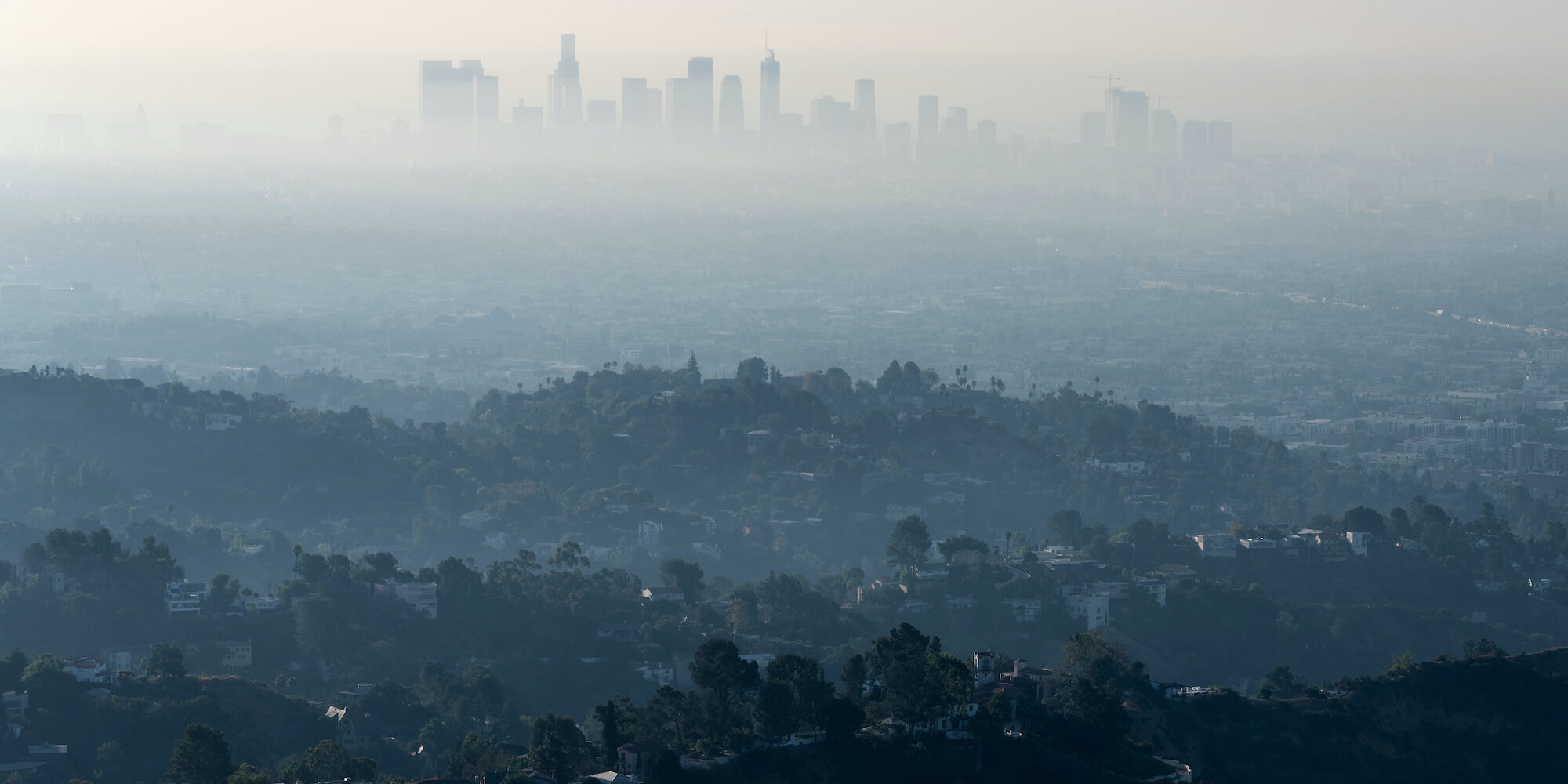 LA’s Beauty Community Comes Together In The Face Of Wildfire Devastation