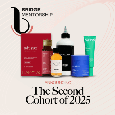 Bridge Mentorship Selects Happy Aging, Parëva And Nous For Second 2025 Cohort