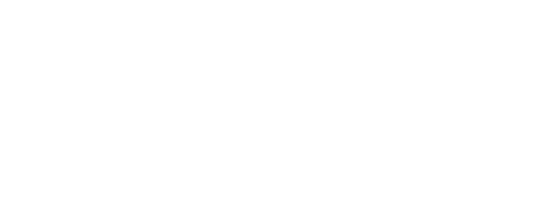 Prime Prometics