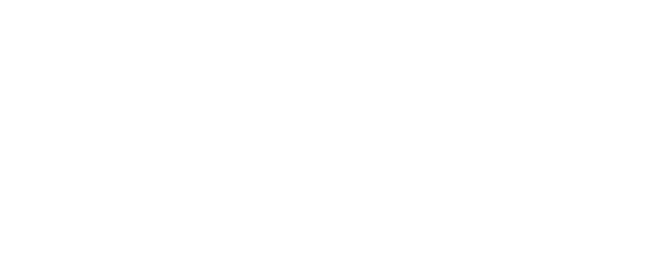 Small Wonder