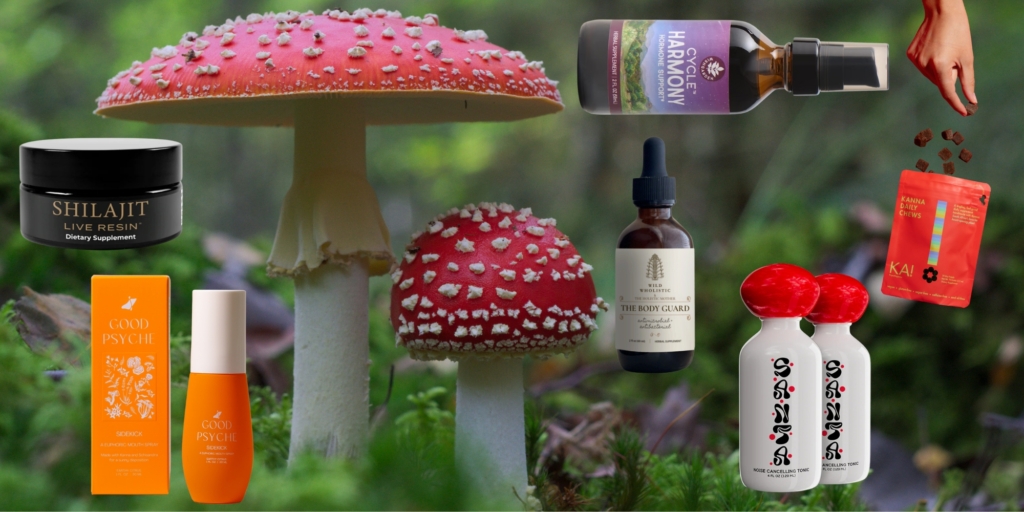 The Ancient Ingredients Captivating Contemporary Wellness Enthusiasts