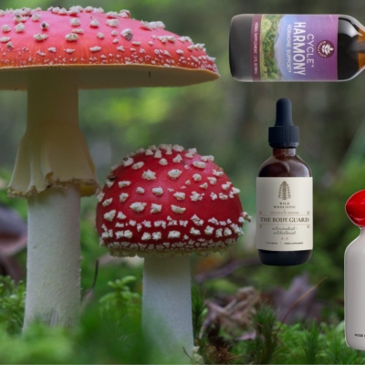 The Ancient Ingredients Captivating Contemporary Wellness Enthusiasts