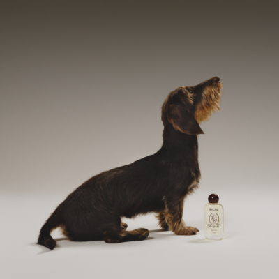 J’Adore Doggy? The Most Pampered Pooches’ Signature Scent Is Biche