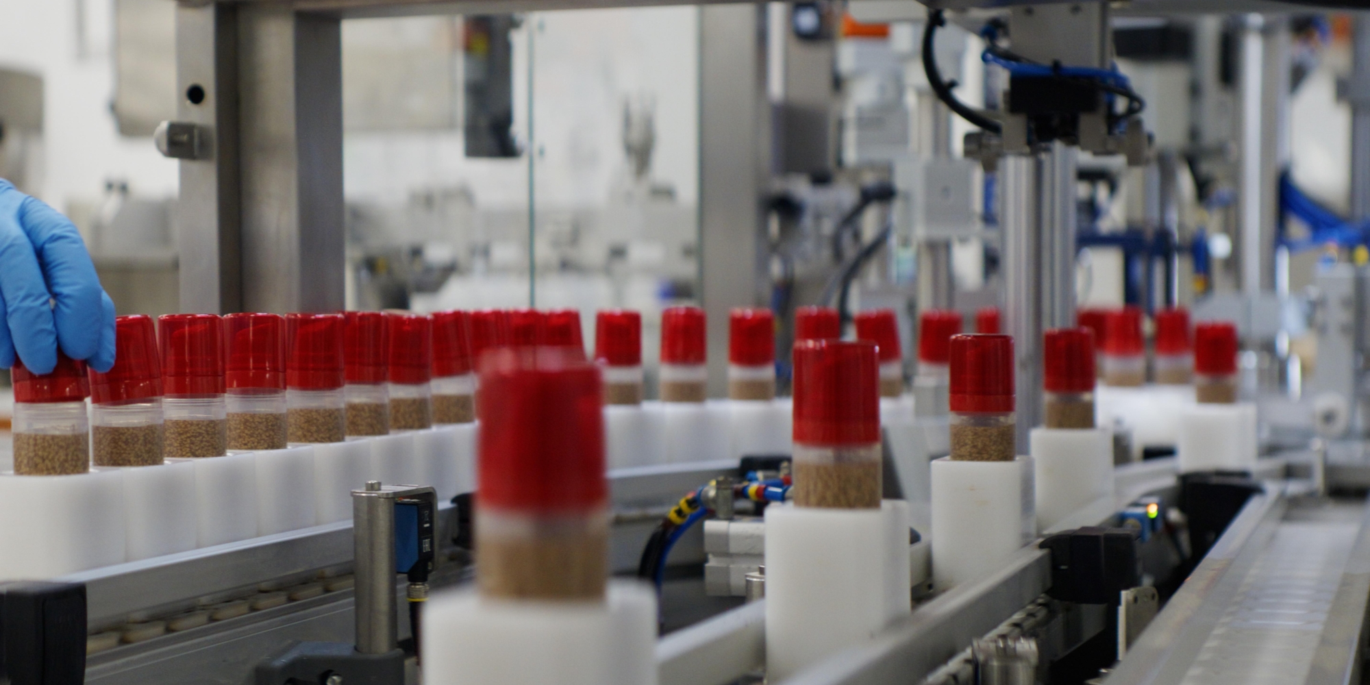 Capsum Acquires KKT Labs And Taps Krupa Koestline To Lead U.S. Operations