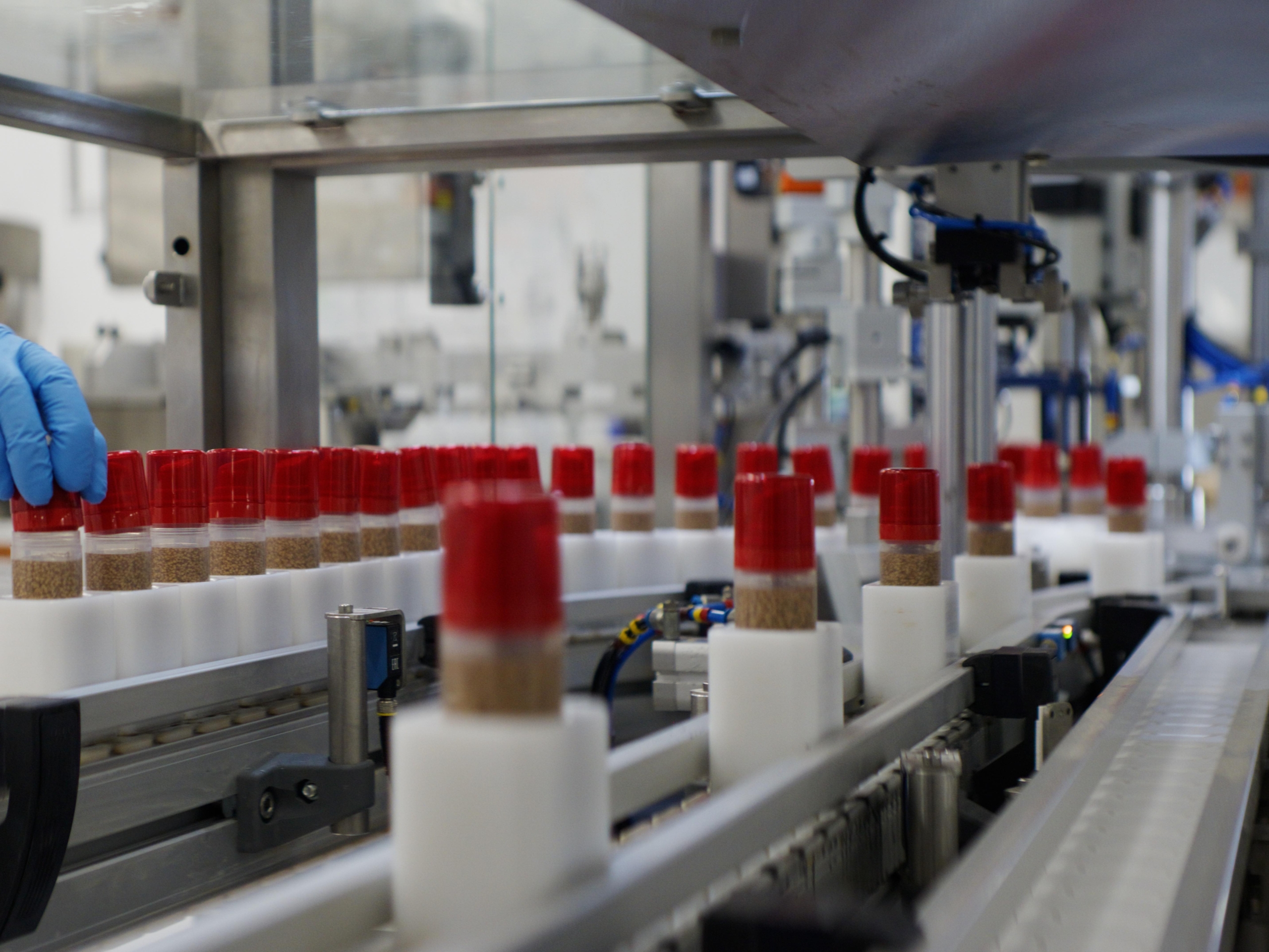 Capsum Acquires KKT Labs And Taps Krupa Koestline To Lead U.S. Operations